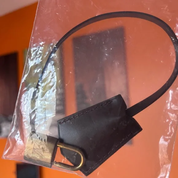 Louis Vuitton Damier Ebene Duomo Top Handle Bag - Picture 10 of 13